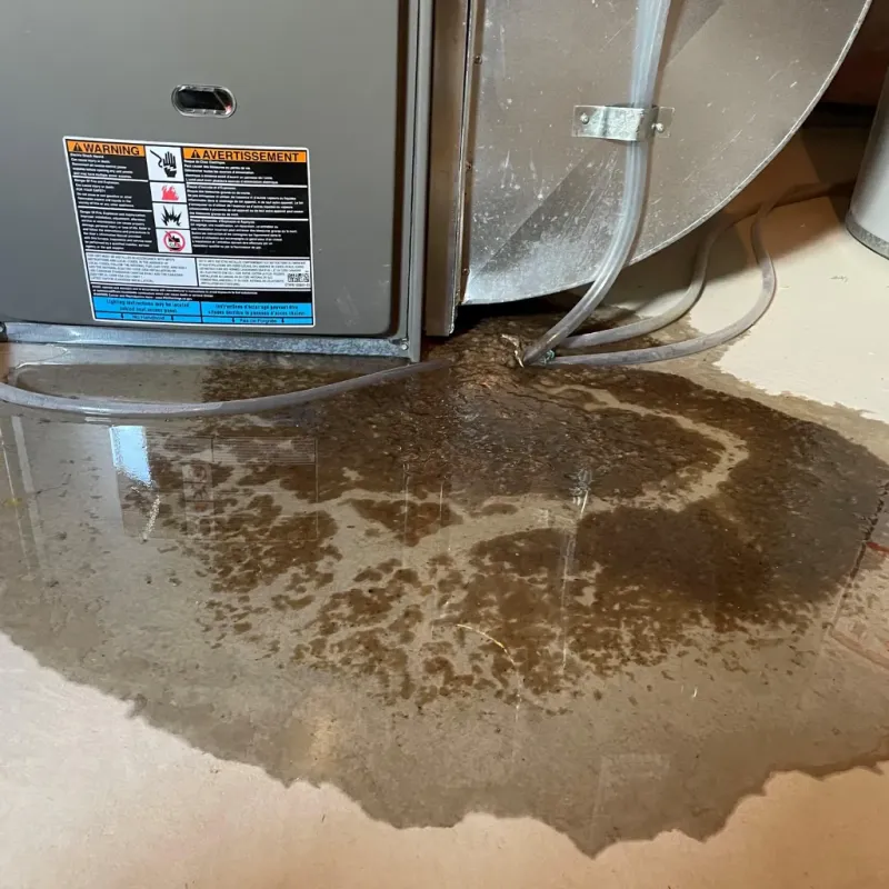 Appliance Leak Cleanup in San Luis, CO