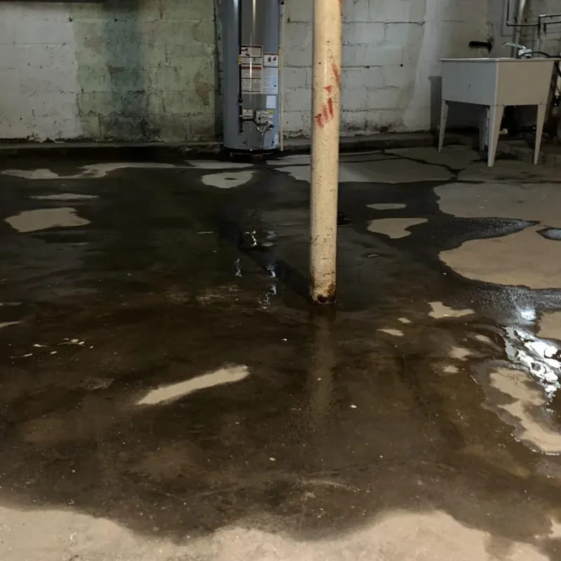 Emergency Water Extraction And Removal in San Luis, CO